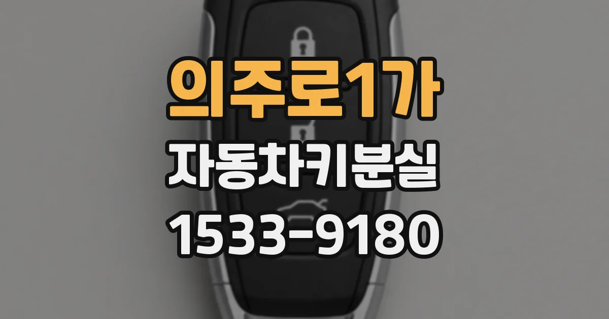 의주로1가 자동차키분실