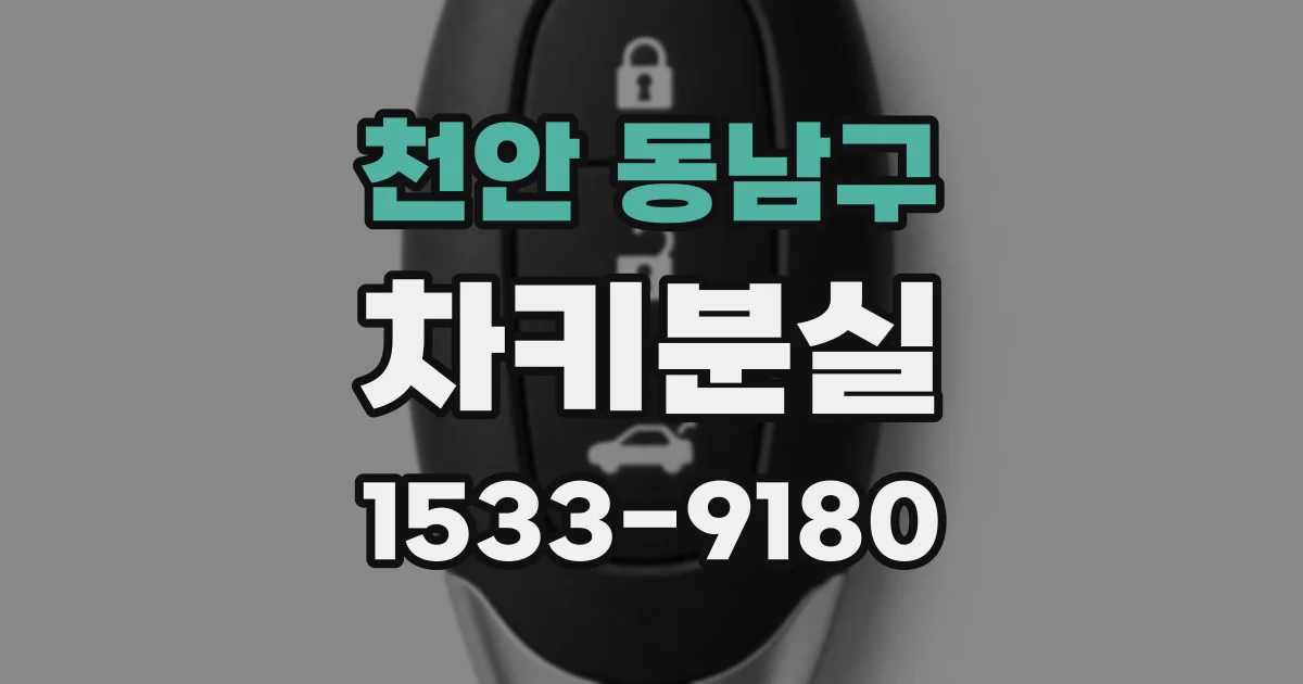 천안 동남구 차키분실