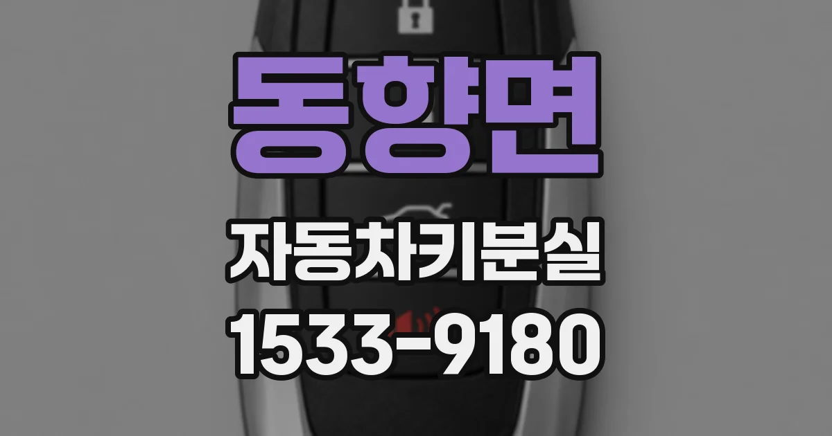 동향면 자동차키분실