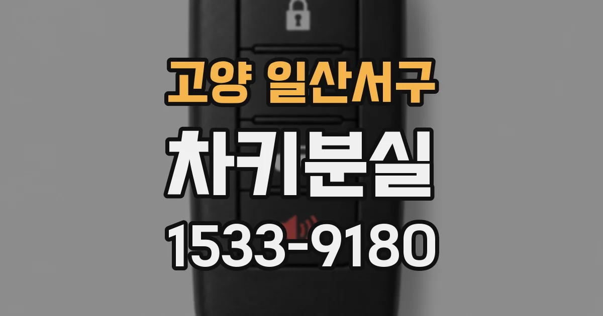 고양 일산서구 차키분실