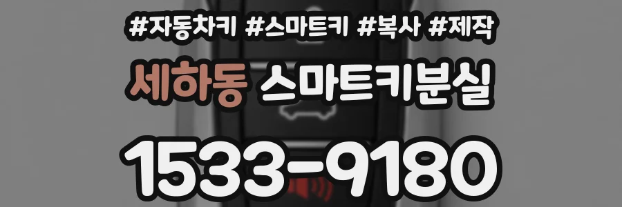 세하동 스마트키분실