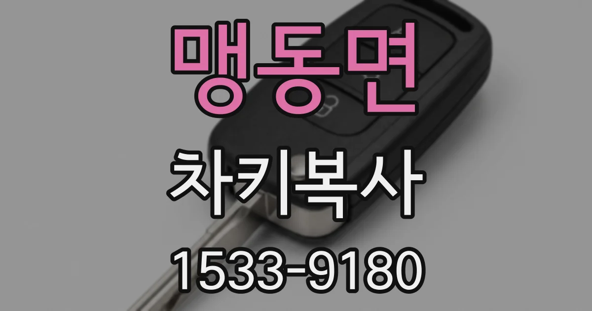 맹동면 차키복사