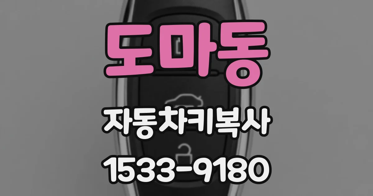 도마동 자동차키복사