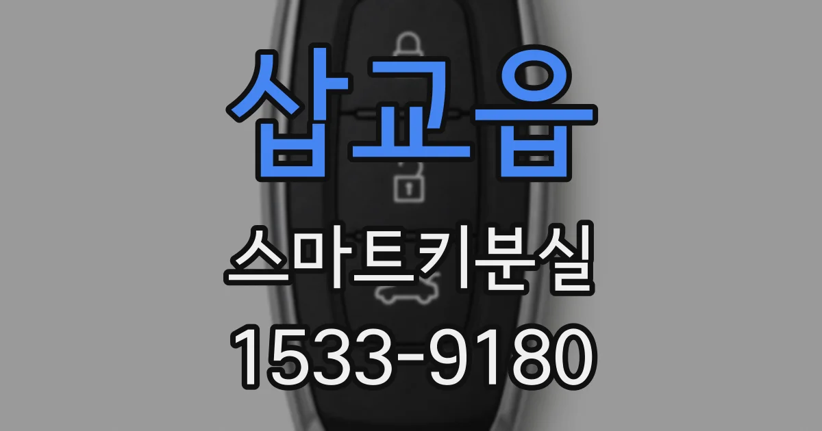 삽교읍 스마트키분실