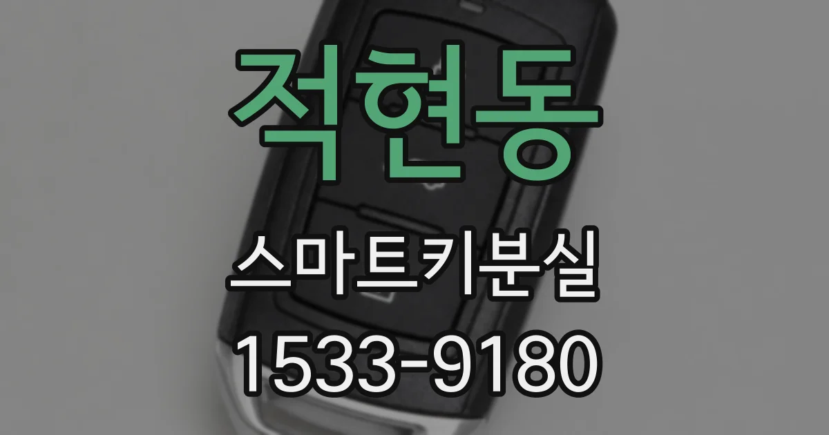 적현동 스마트키분실