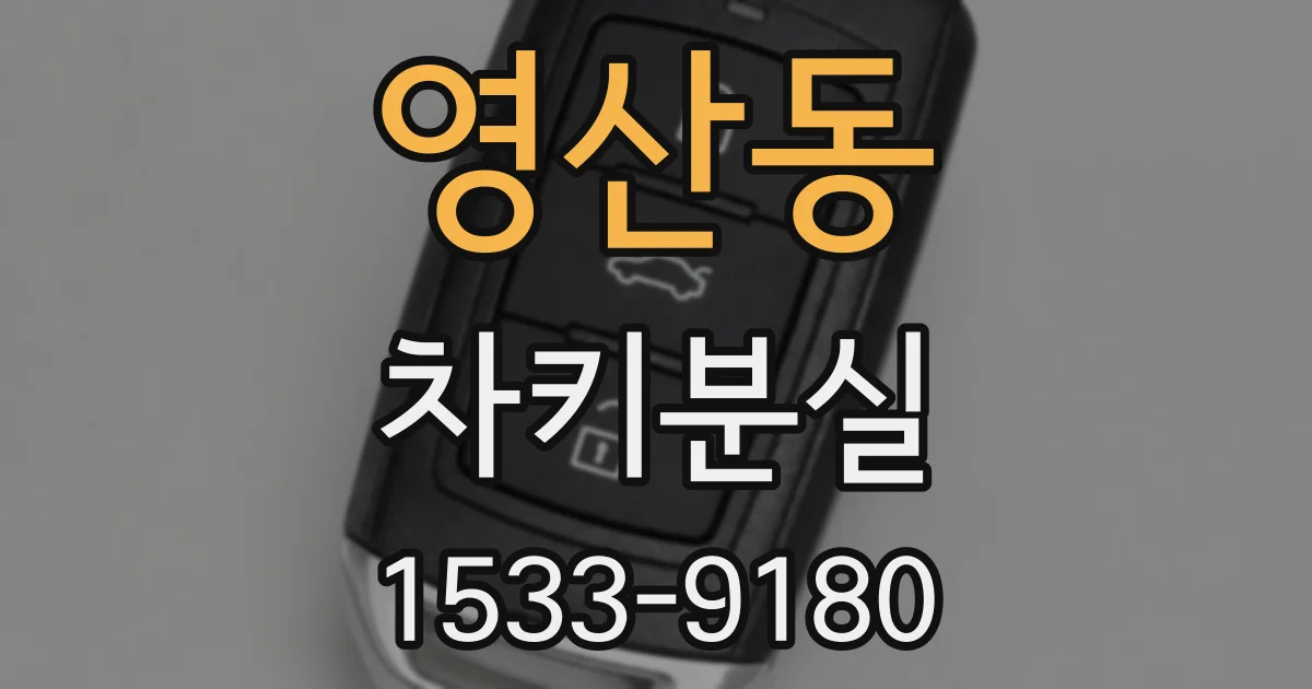 영산동 차키분실