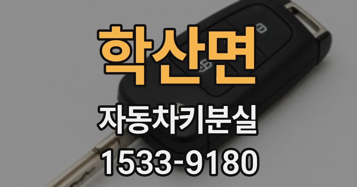 학산면 자동차키분실
