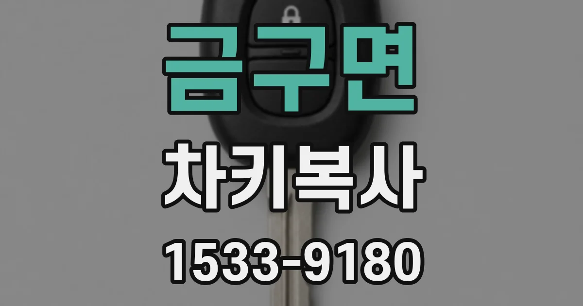 금구면 차키복사