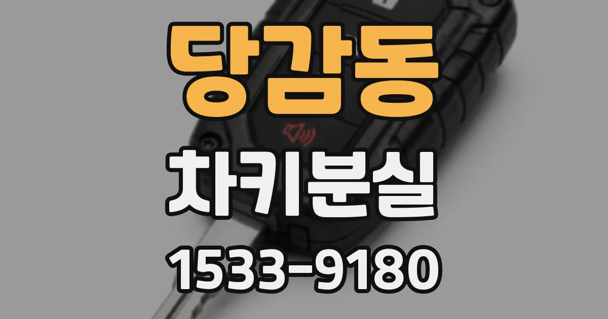 당감동 차키분실
