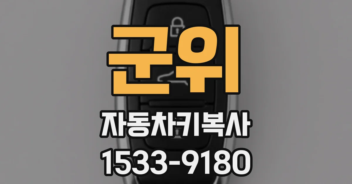 군위 자동차키복사