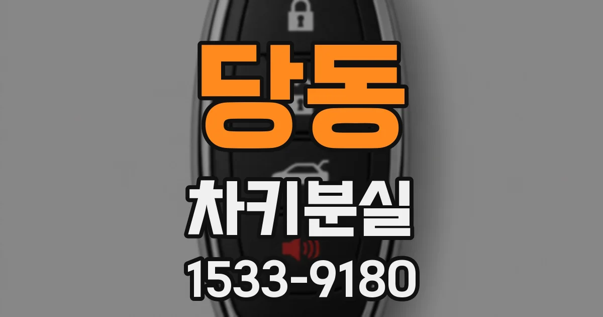 당동 차키분실
