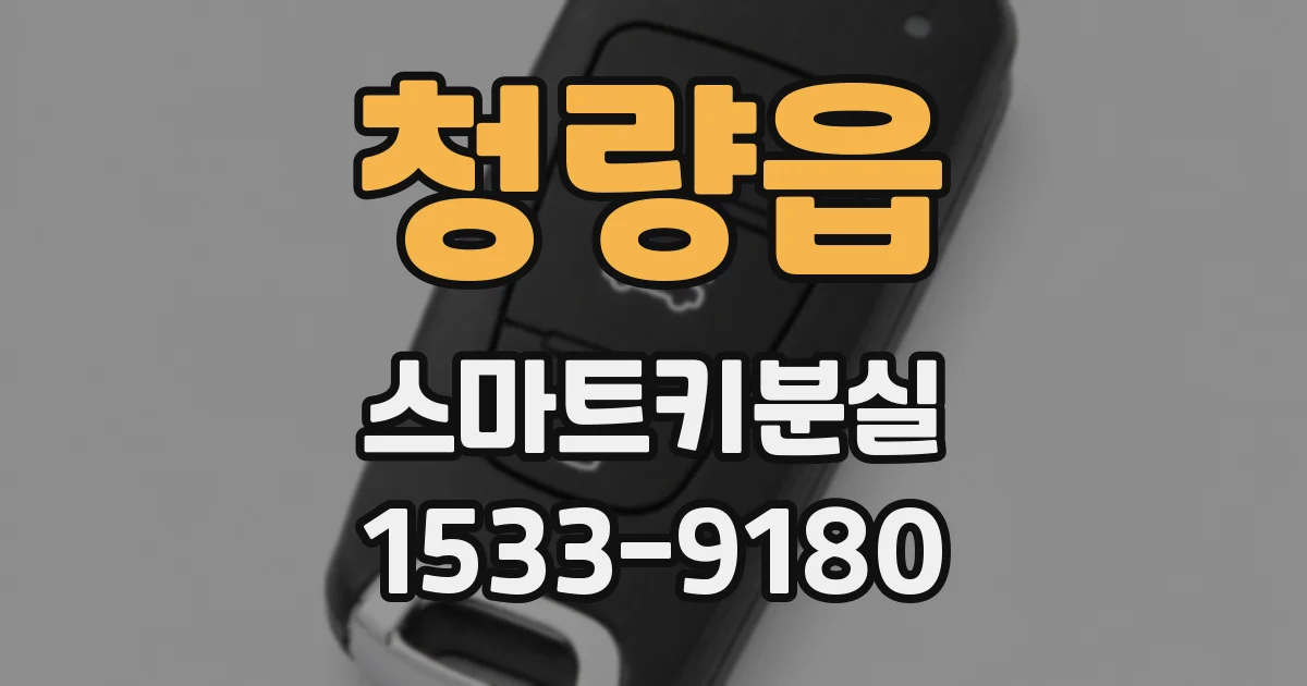 청량읍 스마트키분실