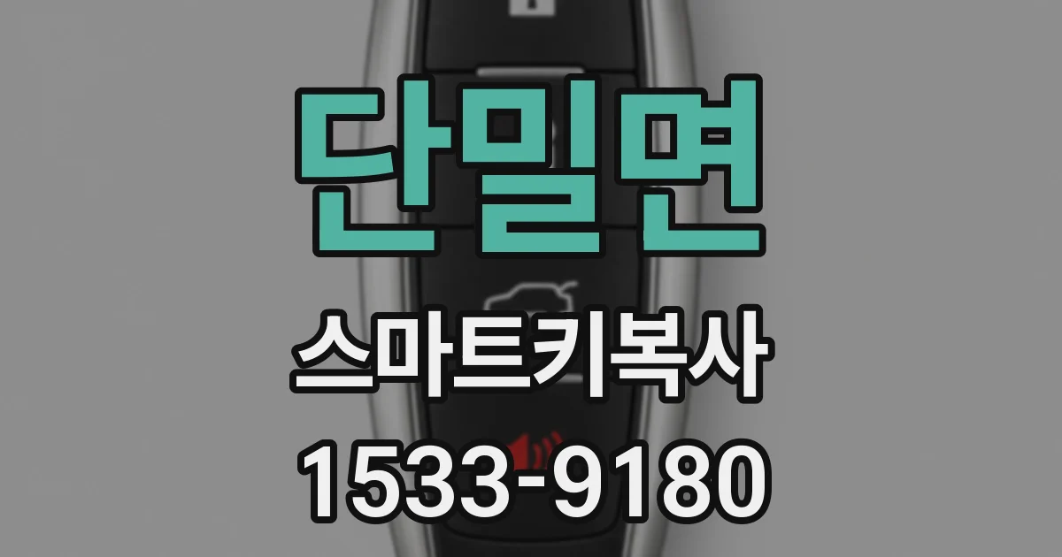 단밀면 스마트키복사
