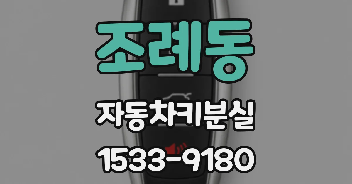 조례동 자동차키분실