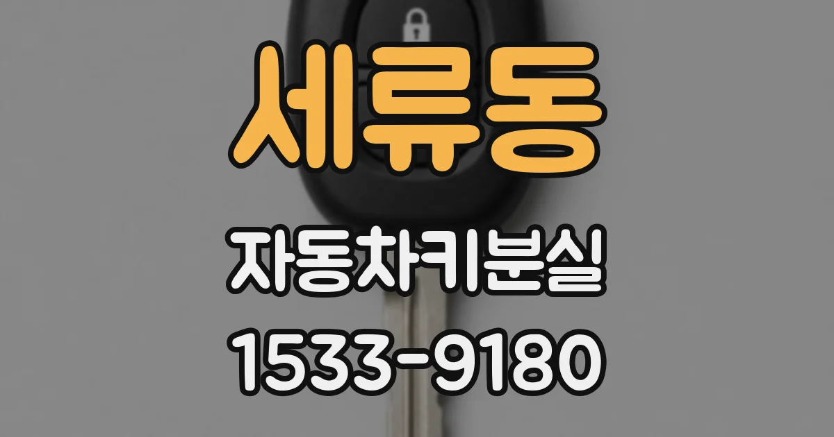 세류동 자동차키분실