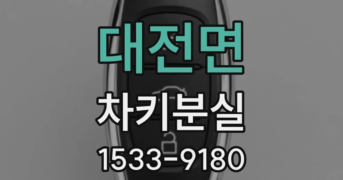 대전면 차키분실