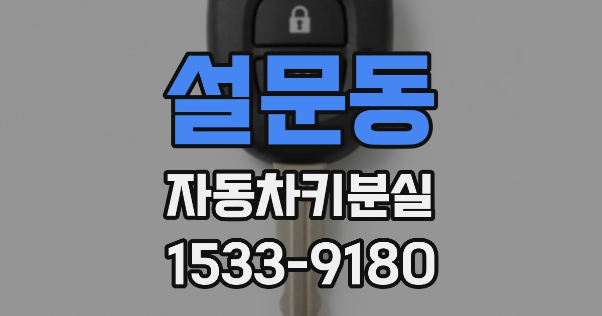 설문동 자동차키분실