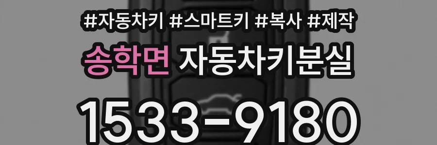 송학면 자동차키분실