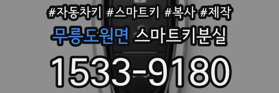 무릉도원면 스마트키분실