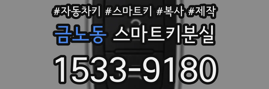 금노동 스마트키분실