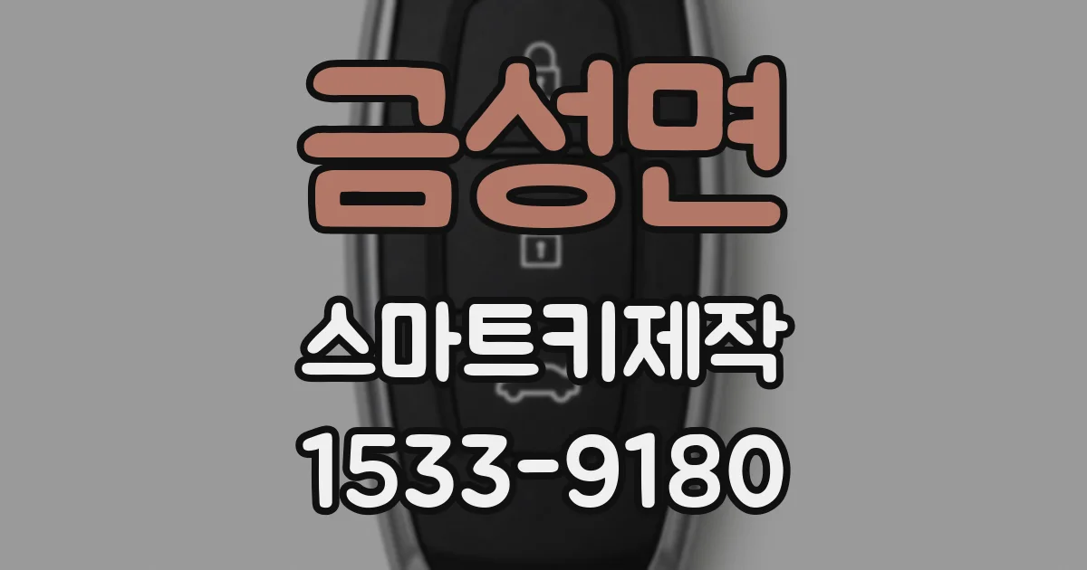 금성면 스마트키제작