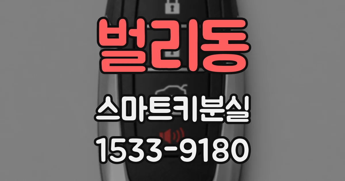 벌리동 스마트키분실