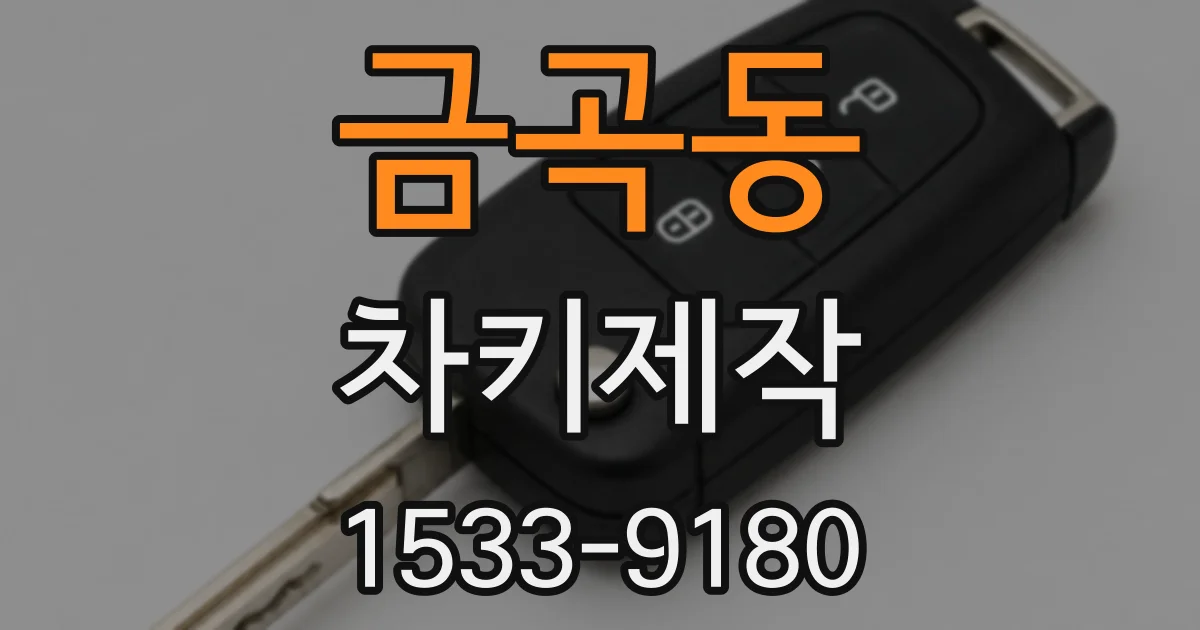 금곡동 차키제작