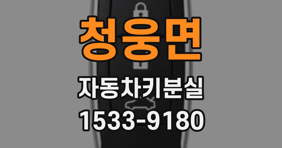청웅면 자동차키분실