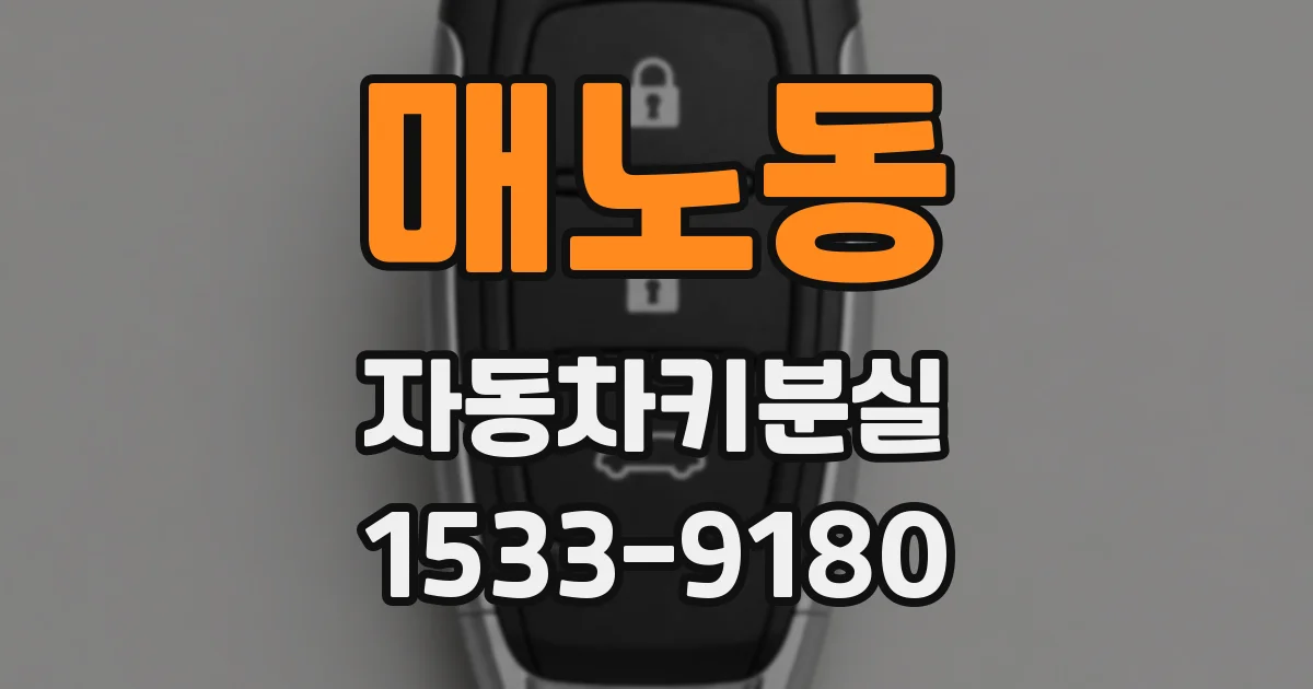 매노동 자동차키분실