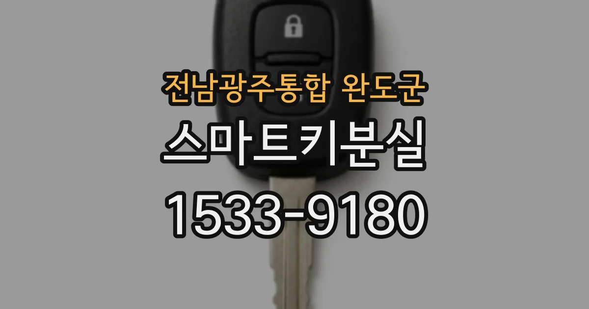 전남광주통합 완도군 스마트키분실
