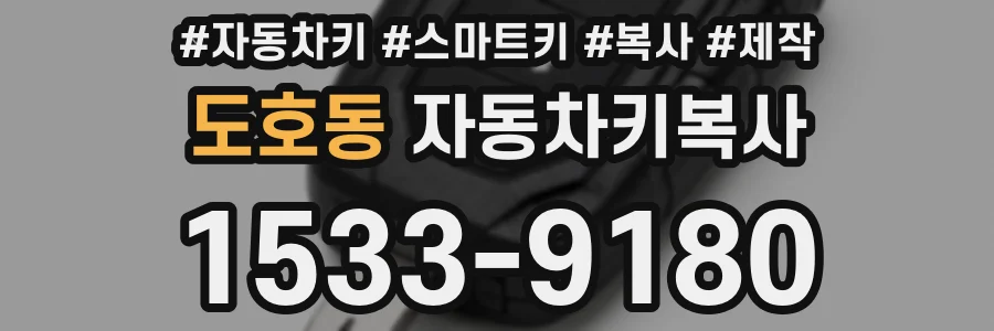 도호동 자동차키복사