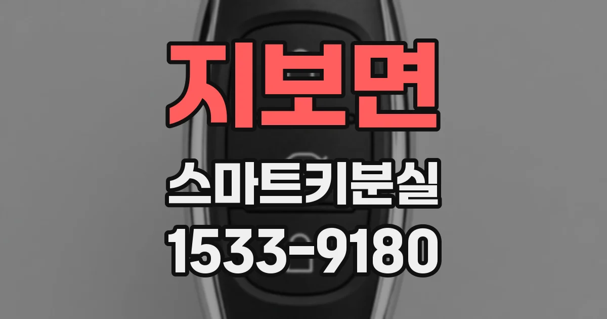 지보면 스마트키분실