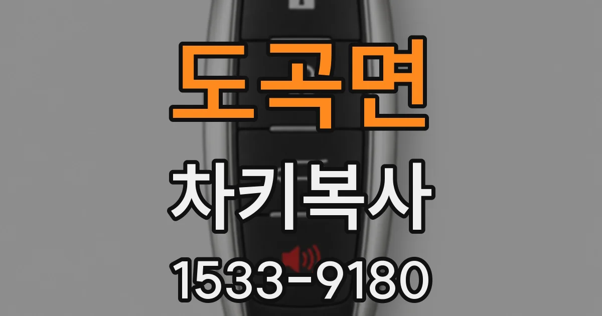 도곡면 차키복사