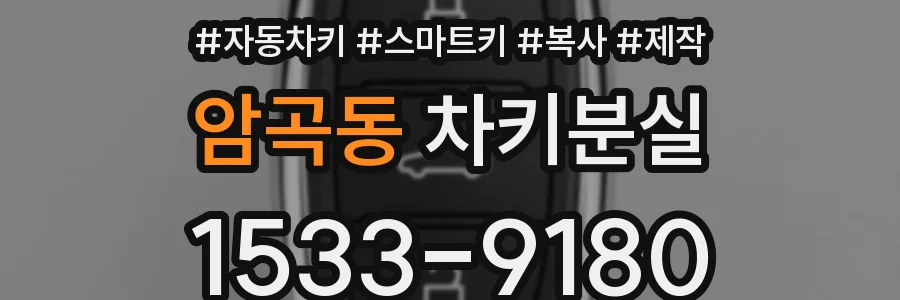 암곡동 차키분실