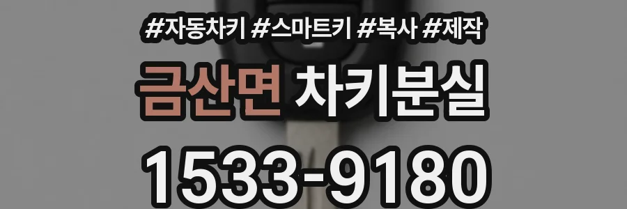 금산면 차키분실