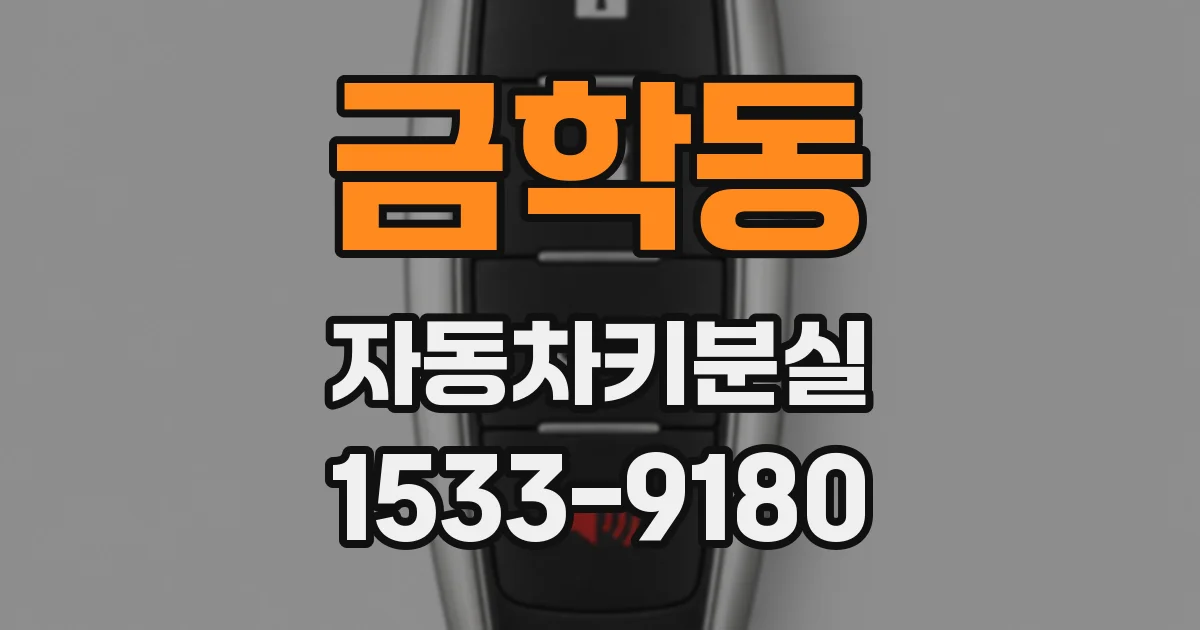 금학동 자동차키분실