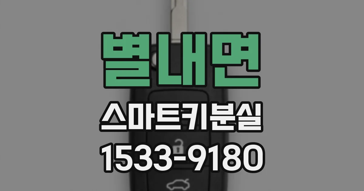 별내면 스마트키분실