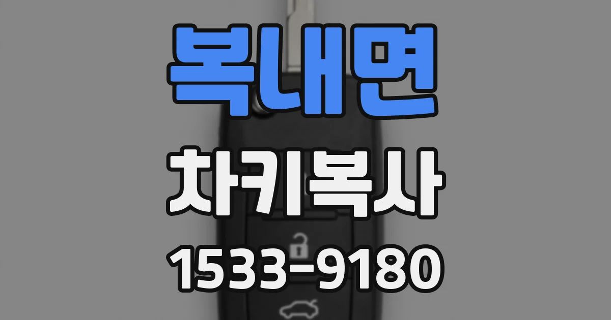 복내면 차키복사