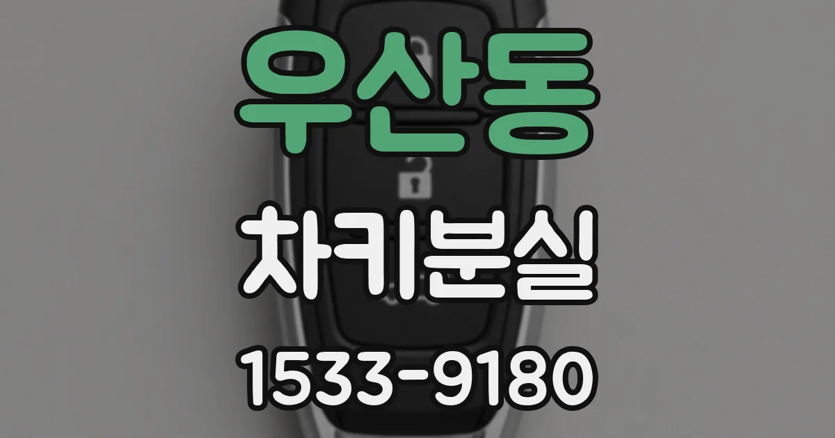 우산동 차키분실