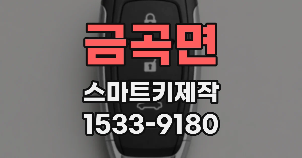 금곡면 스마트키제작