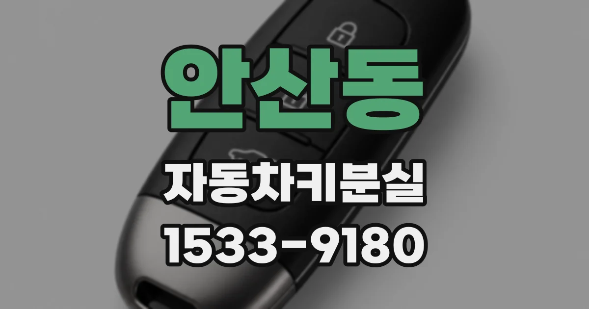 안산동 자동차키분실