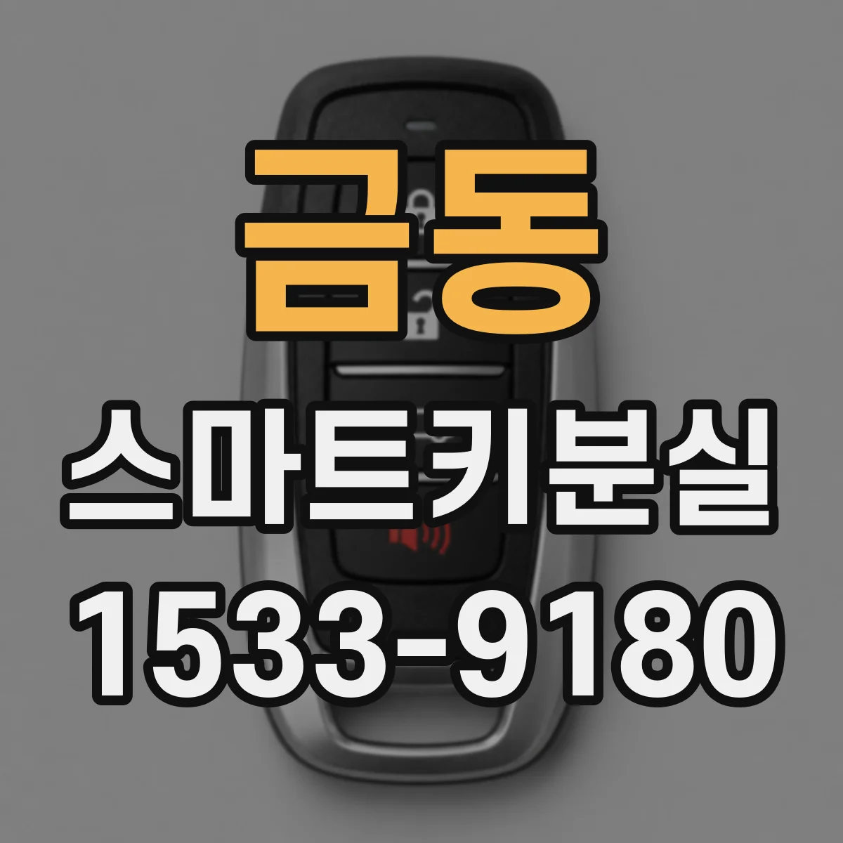 금동 스마트키분실