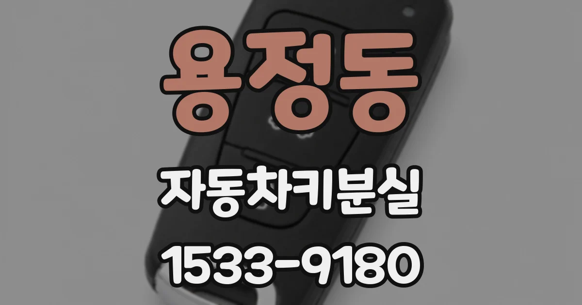 용정동 자동차키분실