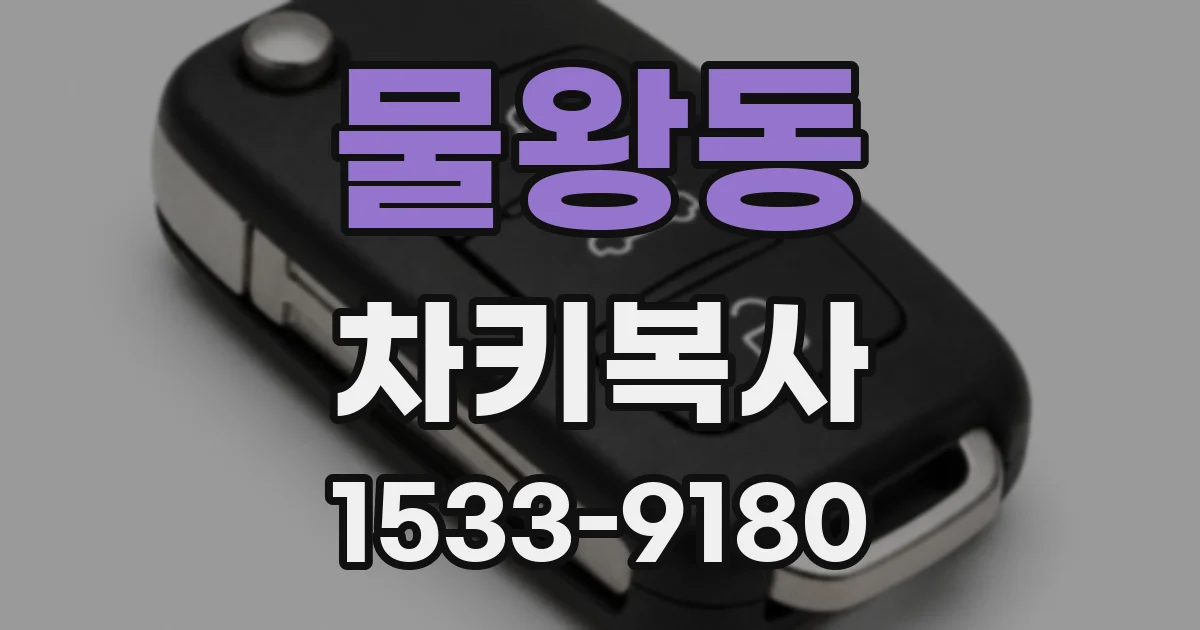 물왕동 차키복사