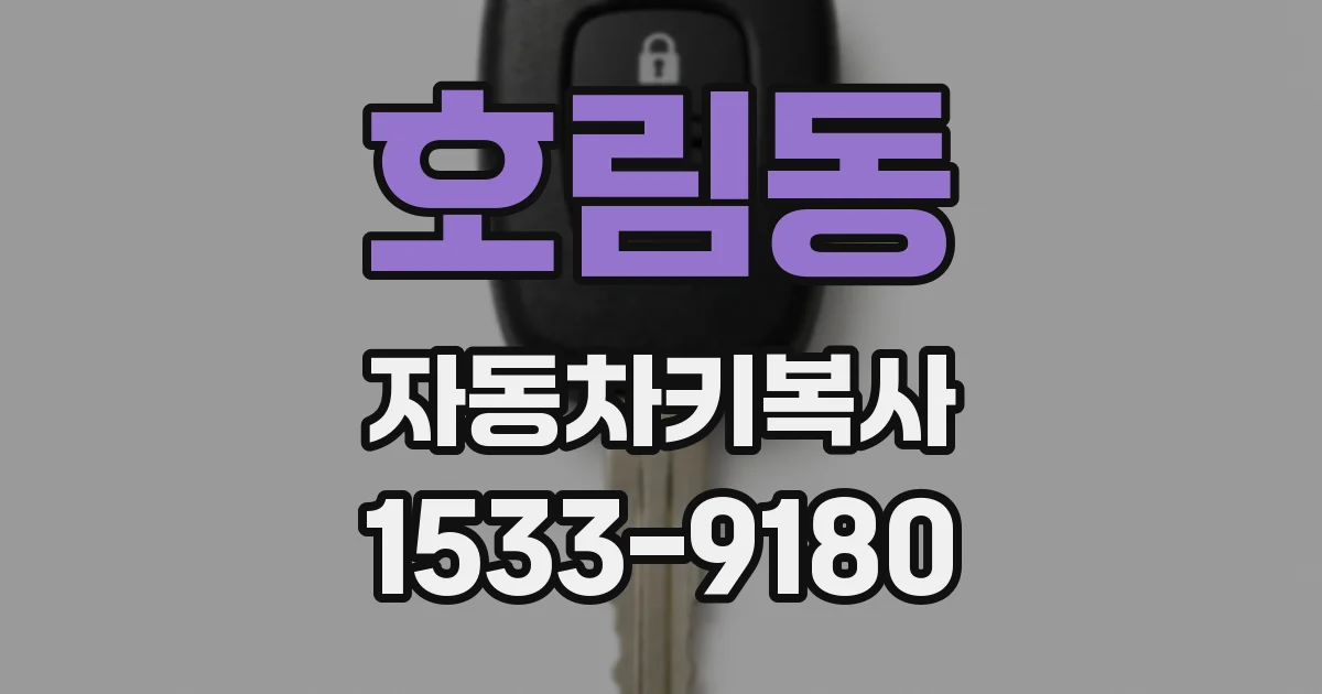 호림동 자동차키복사