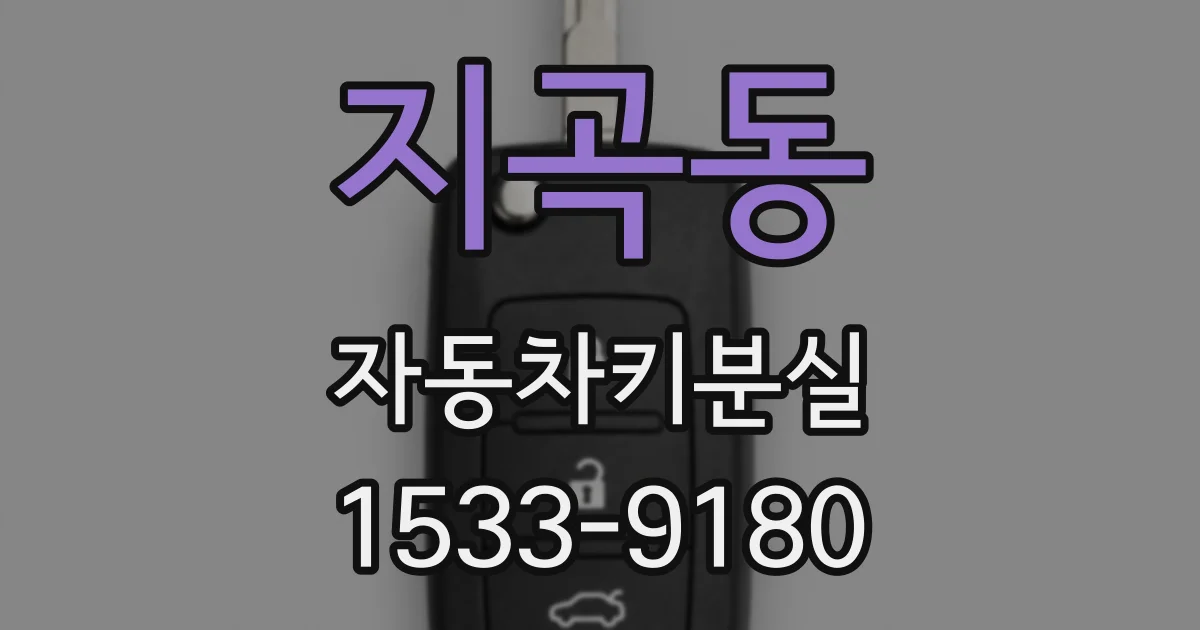 지곡동 자동차키분실