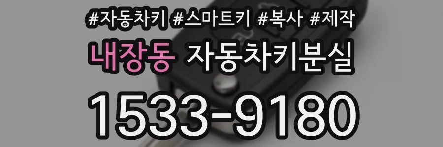 내장동 자동차키분실
