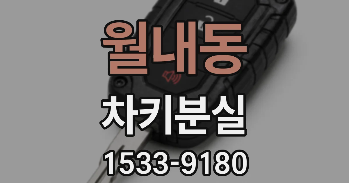 월내동 차키분실