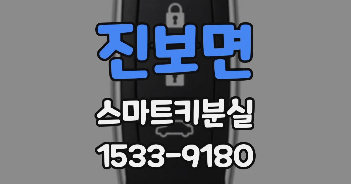 진보면 스마트키분실