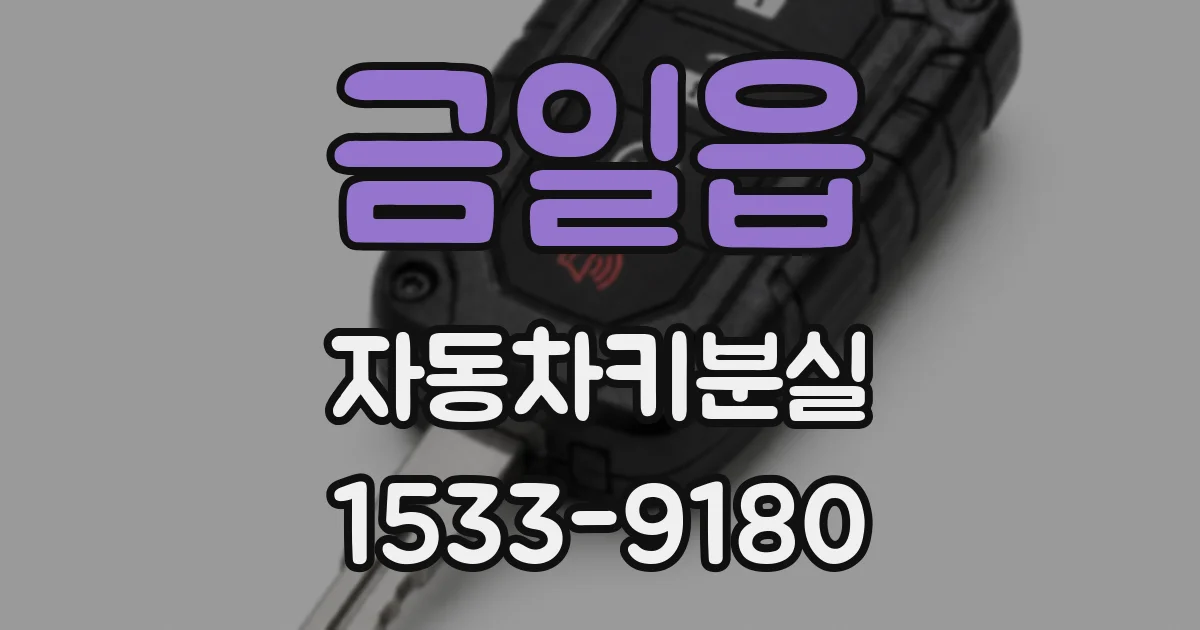 금일읍 자동차키분실